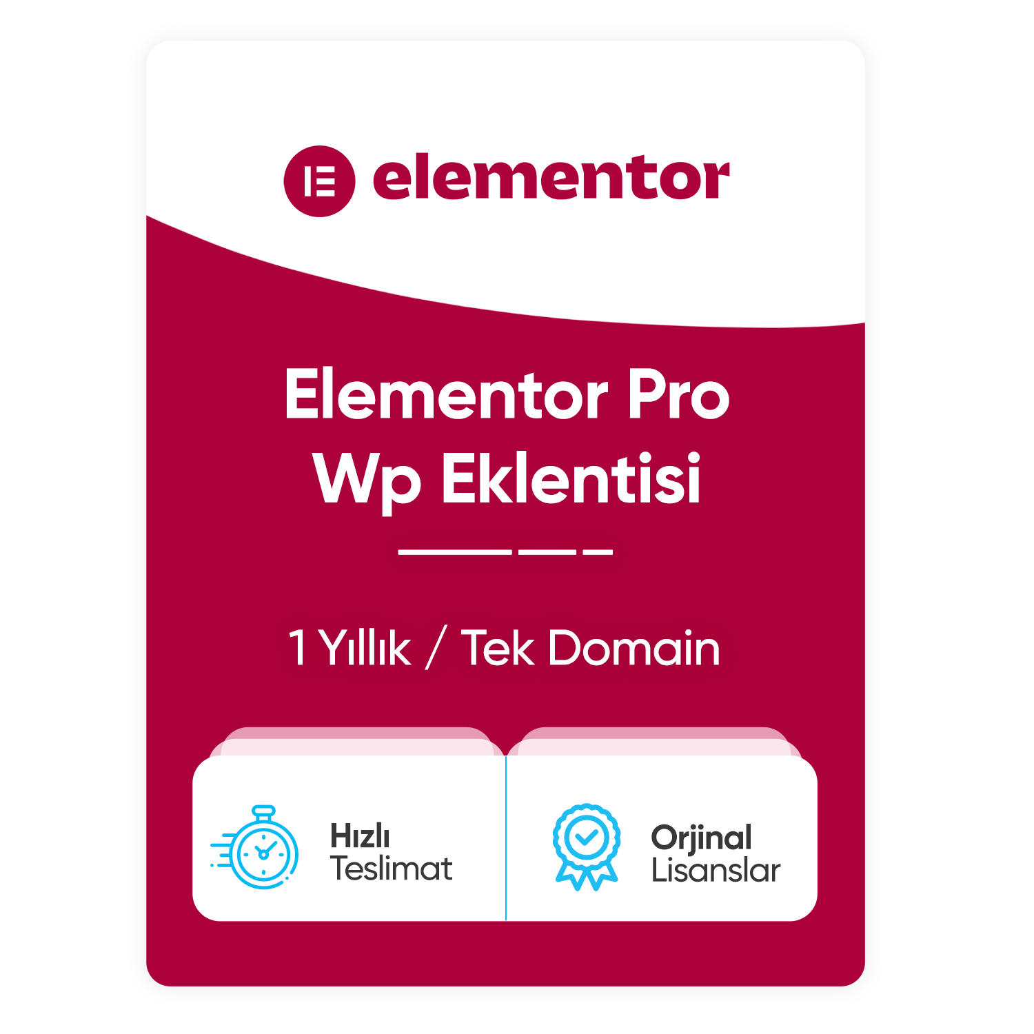 Elementor Pro Eklentisi