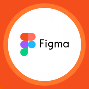 Figma Pro - 2 Yıllık